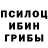 Галлюциногенные грибы мухоморы Dalton Brook